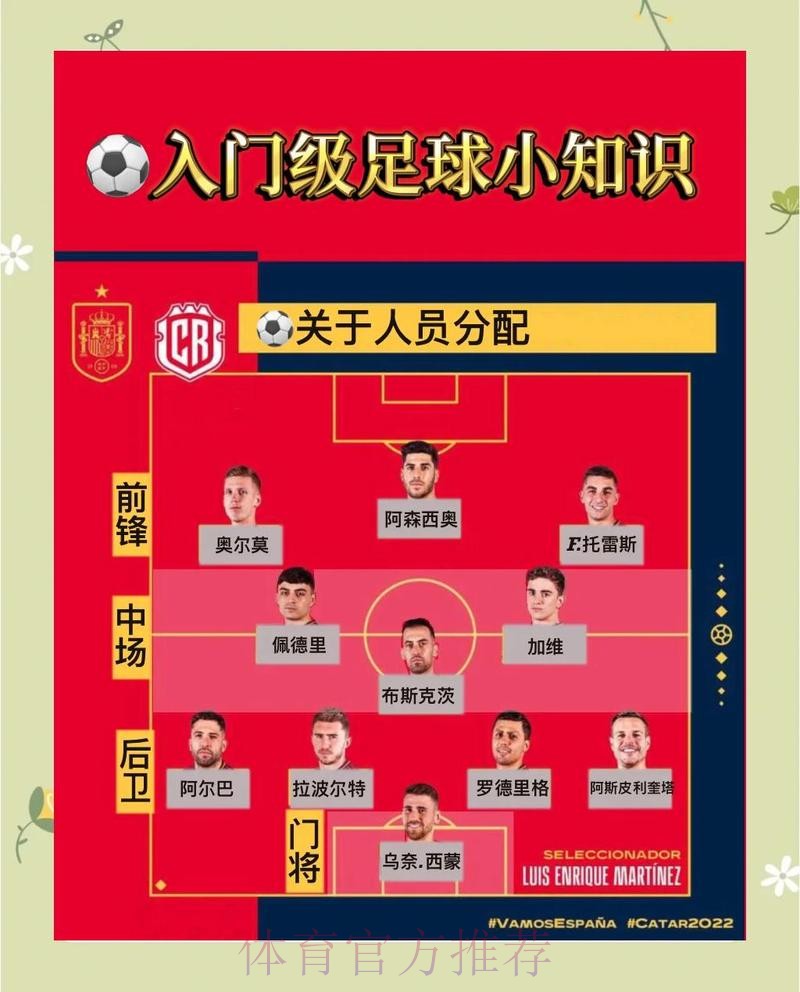 解析世界杯外围手机全站：全面攻略与指南